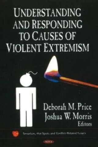 Carte Understanding & Responding to Causes of Violent Extremism 