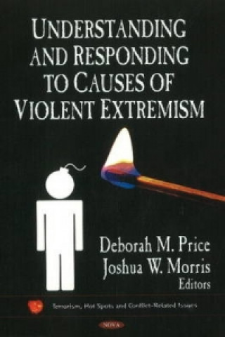 Buch Understanding & Responding to Causes of Violent Extremism 