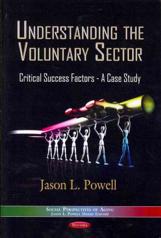 Buch Understanding the Voluntary Sector Jason L. Powell