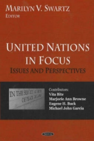 Carte United Nations in Focus 