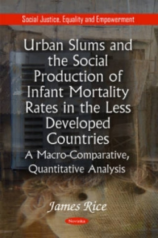 Książka Urban Slums & the Social Production of Infant Mortality Rates in the Less Developed Countries James Rice