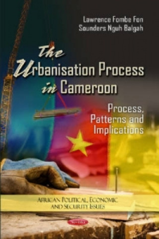 Könyv Urbanization Process in Cameroon 