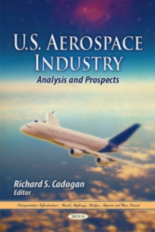 Książka U.S. Aerospace Industry 