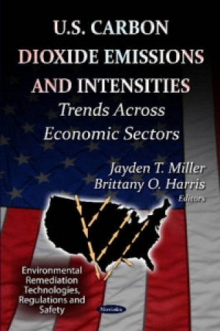Könyv U.S Carbon Dioxide Emissions & Intensities 