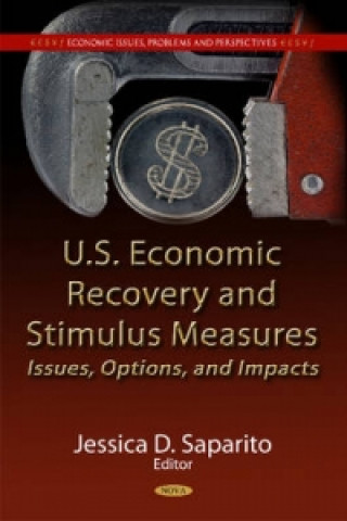 Buch U.S. Economic Recovery & Stimulus Measures 