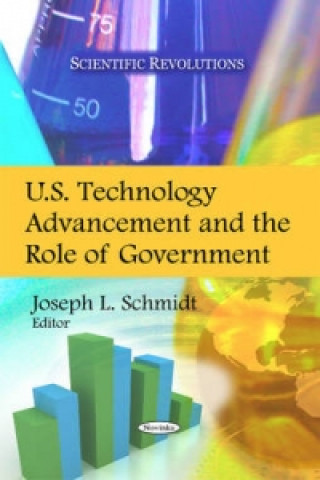 Книга U.S. Technology Advancement and the Role of Government 