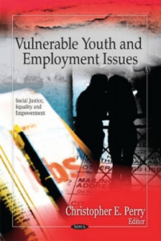 Книга Vulnerable Youth & Employment Issues 