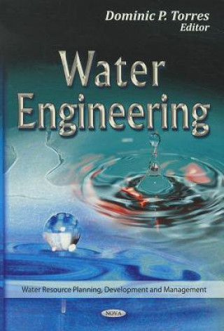 Книга Water Engineering 