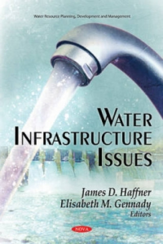 Knjiga Water Infrastructure Issues 