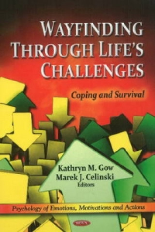 Könyv Wayfinding through Life's Challenges 
