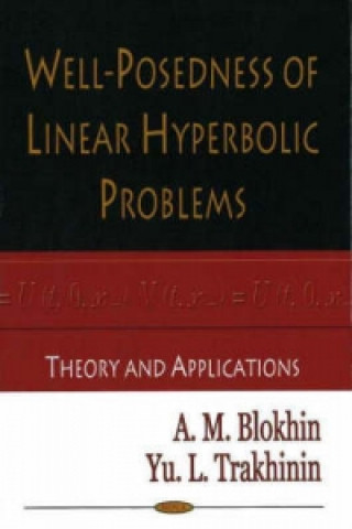 Książka Well-Posedness of Linear Hyperbolic Problems Yuri Trakhinin