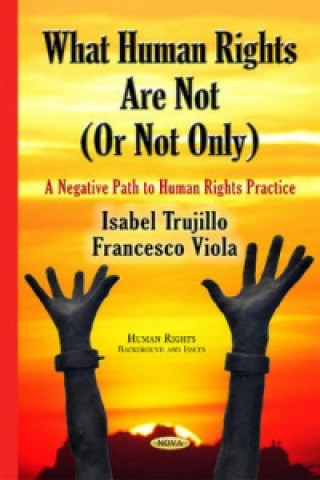 Kniha What Human Rights Are Not (or Not Only) Francesco Viola