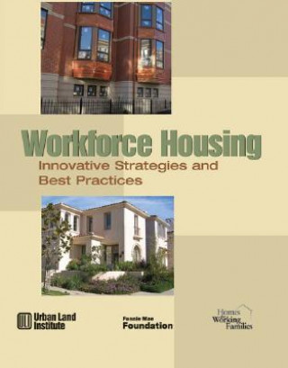 Kniha Workforce Housing Richard Haughey