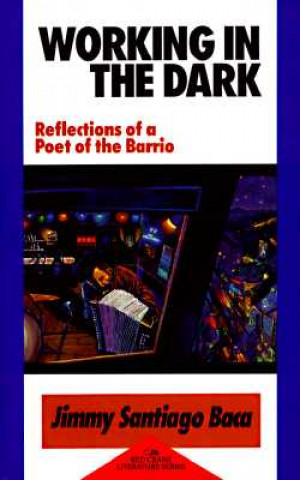 Kniha Working in the Dark Jimmy Santiago Baca