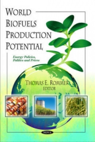 Könyv World Biofuels Production Potential 