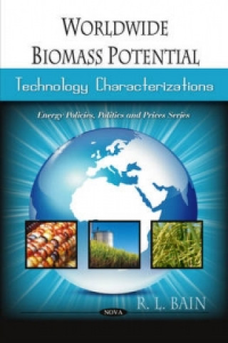 Książka Worldwide Biomass Potential R.L. Bain