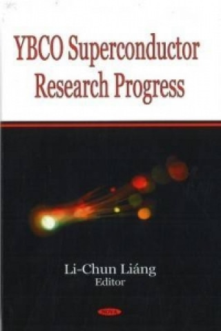 Könyv YBCO Superconductor Research Progress 