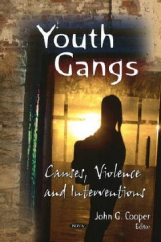 Könyv Youth Gangs 