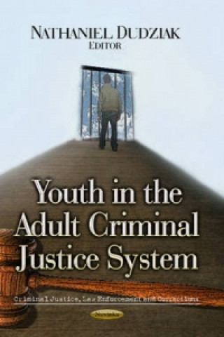 Kniha Youth in the Adult Criminal Justice System 