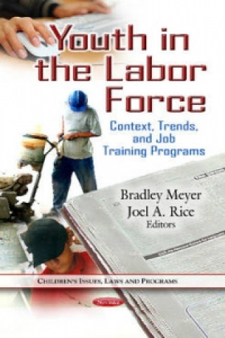 Книга Youth in the Labor Force 