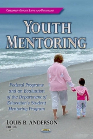 Kniha Youth Mentoring Louis B. Anderson