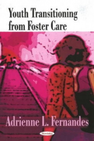 Livre Youth Transitioning From Foster Care Adrienne L. Fernandes