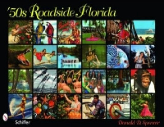 Carte 50s Roadside Florida Donald D. Spencer