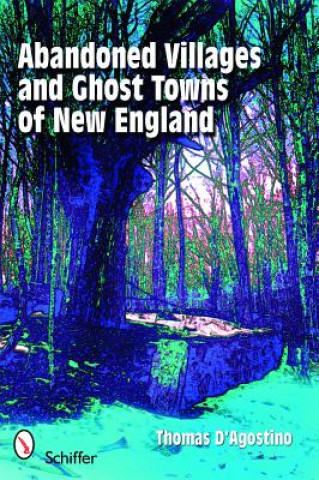 Libro Abandoned Villages and Ght Towns of New England Thomas J. D'Agostino