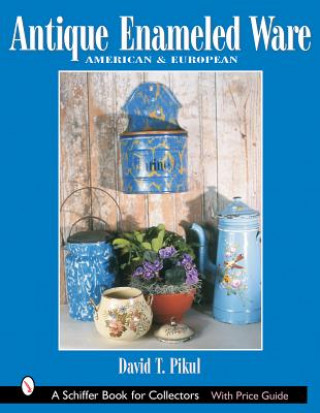 Buch Antique Enameled Ware: American and Eurean David T. Pikul