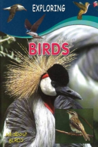 Knjiga Birds Sterling Publishers