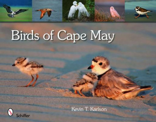 Книга Birds of Cape May, New Jersey Kevin T. Karlson