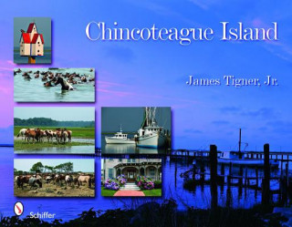 Книга Chincoteague Island James Tigner