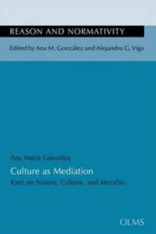 Książka Culture as Mediation 