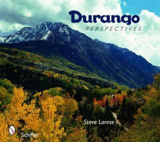 Kniha Durango Perspectives Steve Larese