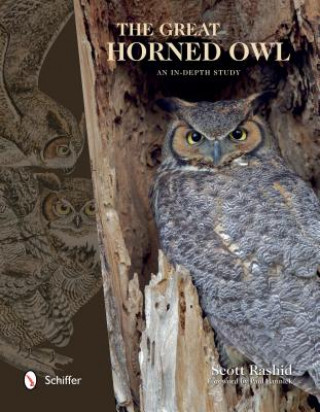Kniha Great Horned Owl: An In-depth Study Scott Rashid