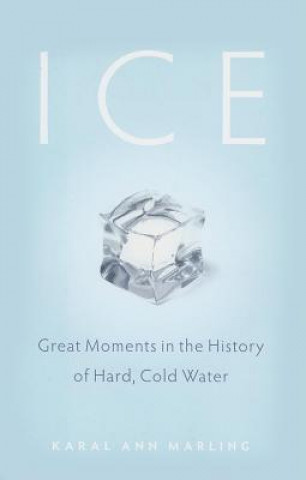 Knjiga Ice Karal Ann Marling