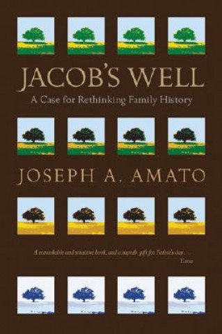 Buch Jacob's Well Joseph Anthony Amato