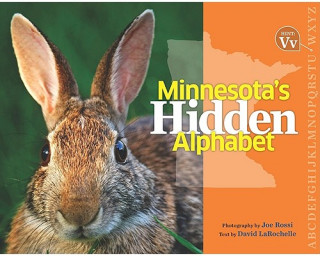 Kniha Minnesota's Hidden Alphabet David LaRochelle