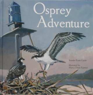 Kniha Osprey Adventure Jennifer Keats Curtis