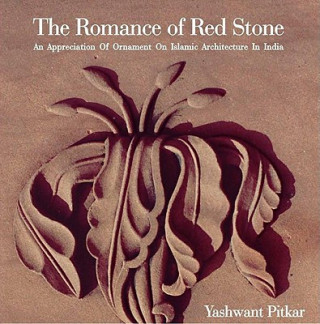 Kniha Romance of Red Stone Mustansir Dalvi