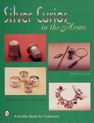 Könyv Silver Curi in the Home Beryl Frank