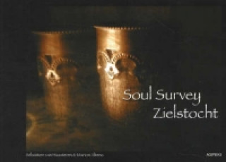 Kniha Soul Survey / Zielstocht Marion Altena
