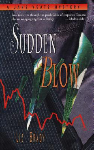 Book Sudden Blow Liz Brady