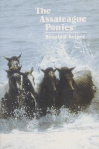 Carte Assateague Ponies Ronald R. Keiper