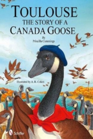 Carte Toulouse: The Story of a Canada Goose Priscilla Cummings