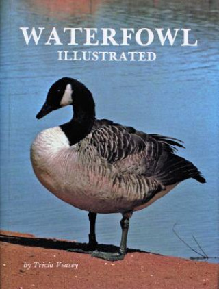 Kniha Waterfowl Illustrated T. Veasey