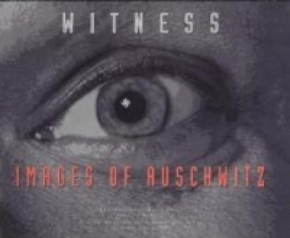 Buch Witness Alexandre Oler