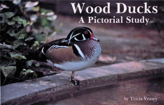 Carte Wood Ducks: A Pictorial Study T. Veasey