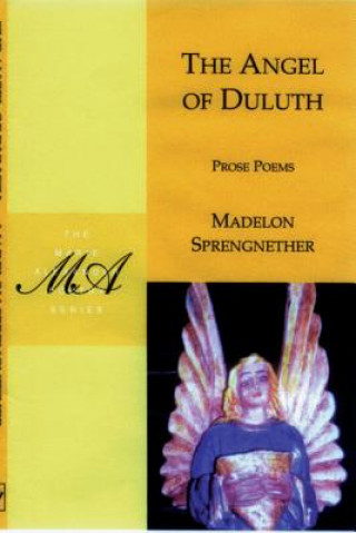 Книга Angel of Duluth Madelon Sprengnether