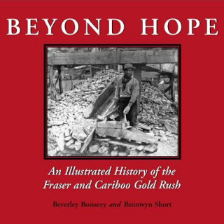 Könyv Beyond Hope Bronwyn Short